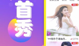 y 91 直播,揭秘热门直播平台的魅力与挑战